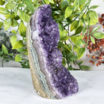 Amethyst Gemstone Geode - RGD889