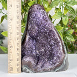 Amethyst Gemstone Geode - RGD890