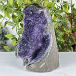 Amethyst Gemstone Geode - RGD892