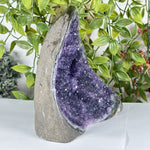 Amethyst Gemstone Geode - RGD892