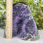 Amethyst Gemstone Geode - RGD892