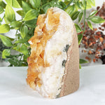Citrine Gemstone Geode - RGD895