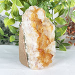 Citrine Gemstone Geode - RGD895