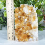 Citrine Gemstone Geode - RGD895