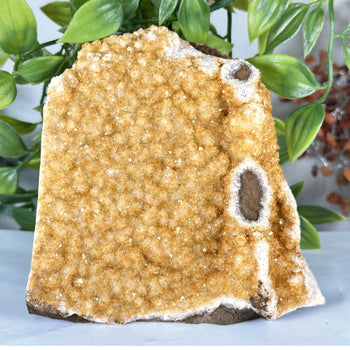 Natural Citrine Crystal Geode - Gem Avenue Retail