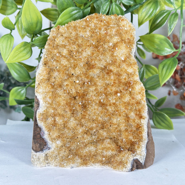 Natural Citrine Crystal Geode - Gem Avenue Retail