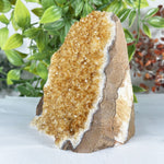 Citrine Gemstone Geode