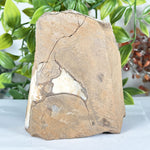 Citrine Gemstone Geode