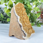 Citrine Gemstone Geode