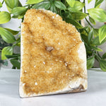 Citrine Gemstone Geode