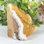 Citrine Gemstone Geode