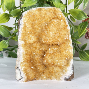 Natural Citrine Crystal Geode  - Gem Avenue Retail