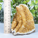 Citrine Gemstone Geode - RGD901