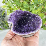 Amethyst Gemstone Geode