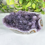 Amethyst Gemstone Geode - RGD906