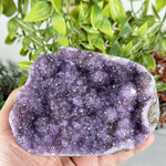 Amethyst Gemstone Geode - RGD906