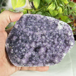 Amethyst Gemstone Geode - RGD907