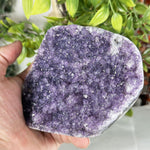 Amethyst Gemstone Geode - RGD907