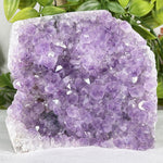 Amethyst Gemstone Geode - RGD909