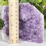 Amethyst Gemstone Geode - RGD909