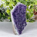 Amethyst Gemstone Geode - RGD910