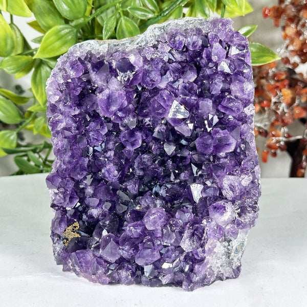 Amethyst Crystal Geode - Gem Avenue Retail