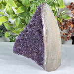 Amethyst Gemstone Geode - RGD912