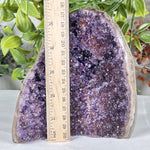 Amethyst Gemstone Geode - RGD912