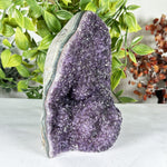 Amethyst Gemstone Geode - RGD913