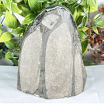 Amethyst Gemstone Geode - RGD914