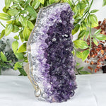 Amethyst Gemstone Geode - RGD915