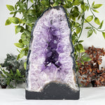 Amethyst Gemstone Geode - RGD916