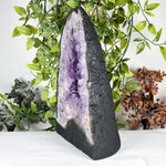 Amethyst Gemstone Geode - RGD916