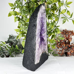 Amethyst Gemstone Geode - RGD916
