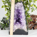Amethyst Gemstone Geode - RGD916