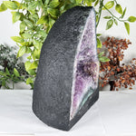 Amethyst Gemstone Geode - RGD917