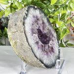 Amethyst Gemstone Geode - RGD921
