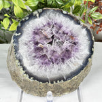 Amethyst Gemstone Geode - RGD921