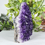 Amethyst Gemstone Geode