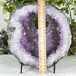 Amethyst Gemstone Geode - RGD925
