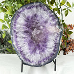 Amethyst Gemstone Geode - RGD927