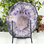 Amethyst Gemstone Geode - RGD927