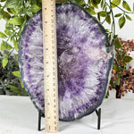 Amethyst Gemstone Geode - RGD927