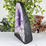 Amethyst Gemstone Geode - RGD929