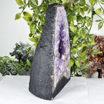 Amethyst Gemstone Geode - RGD929