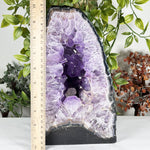 Amethyst Gemstone Geode - RGD929