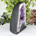 Amethyst Gemstone Geode - RGD931