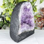 Amethyst Gemstone Geode - RGD932