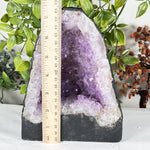 Amethyst Gemstone Geode - RGD933