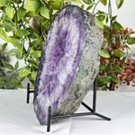 Amethyst Gemstone Geode - RGD935